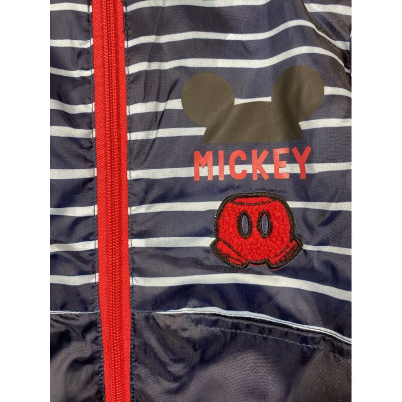 mickey-mouse-vetrovka